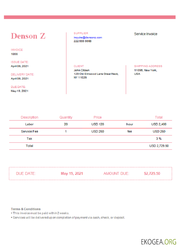 Facture Denson Z USA